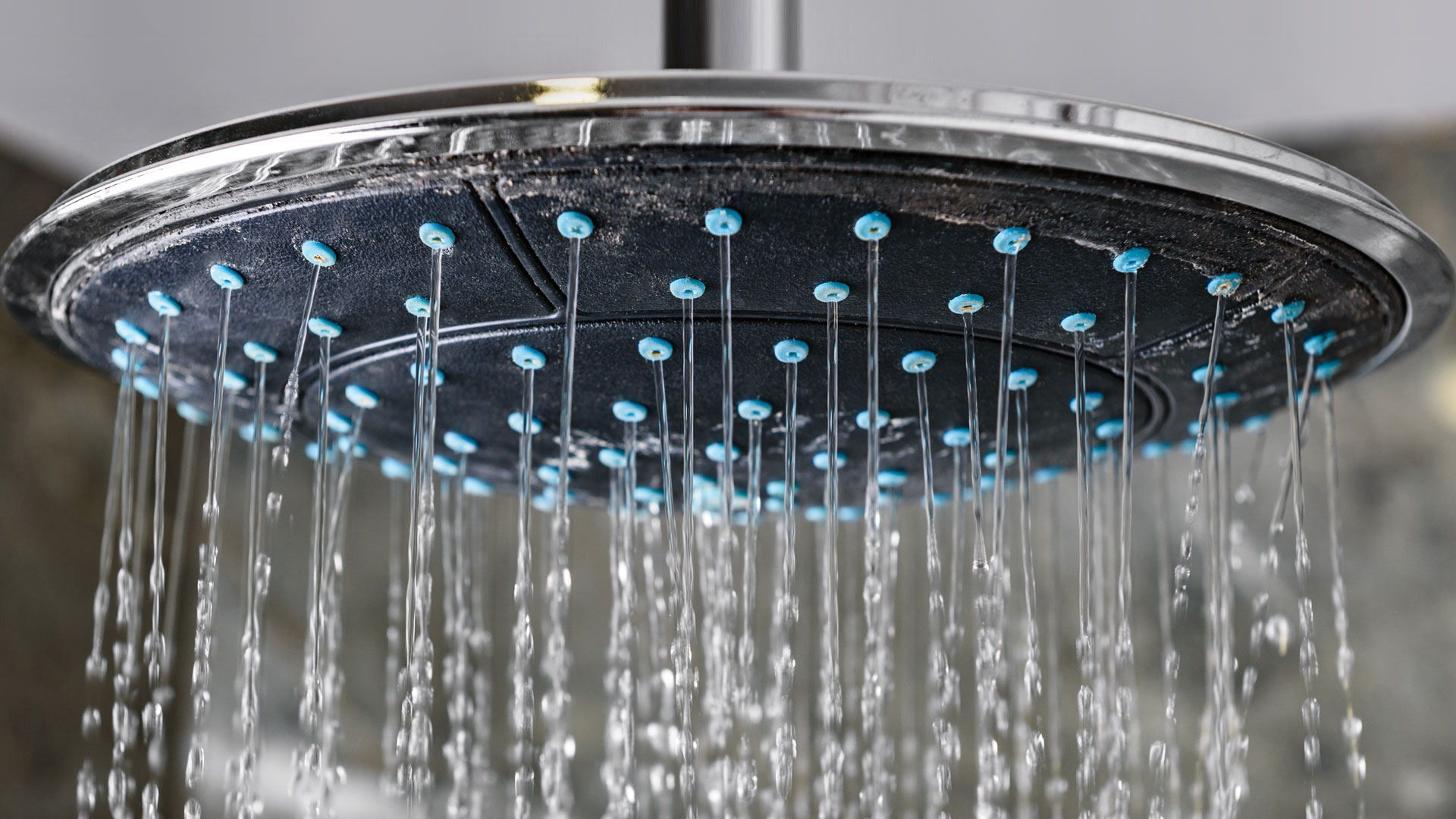 shower-head A chrome shower head with water emerging from the rose